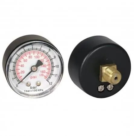 BiWorld 10 Bar Pressure Gauge c/w 1/4" Back Connection
