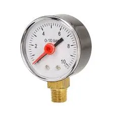 [BI-EV-G1014SC] BiWorld 10 Bar Pressure Gauge c/w 1/4" Side Connection