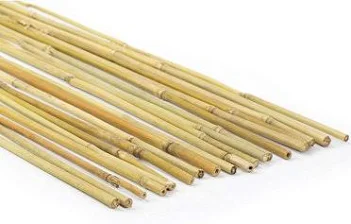 [600636] Ambassador Bamboo Canes 6' Pack of 10